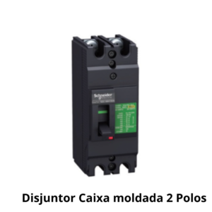 TA Automação - Disjuntor Caixa Moldada 2 Polos